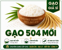 Gạo 504 mới 