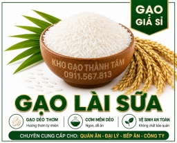 Gạo Lài Sữa 