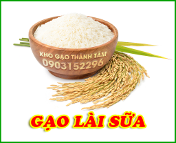 Gạo Lài Sữa 