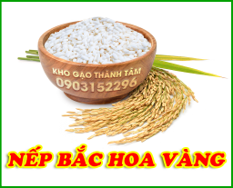 Nếp Bắc Hoa Vàng 