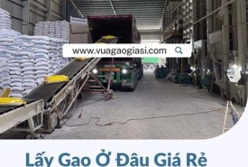 Lấy gạo ở đâu giá rẻ