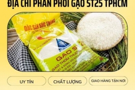Mua gạo ST25 sỉ ở đâu