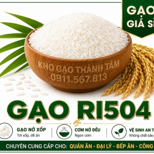 Gạo RI504