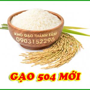Gạo 504 mới 