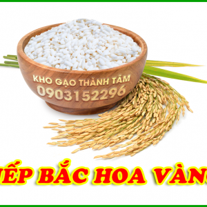 Nếp Bắc Hoa Vàng 